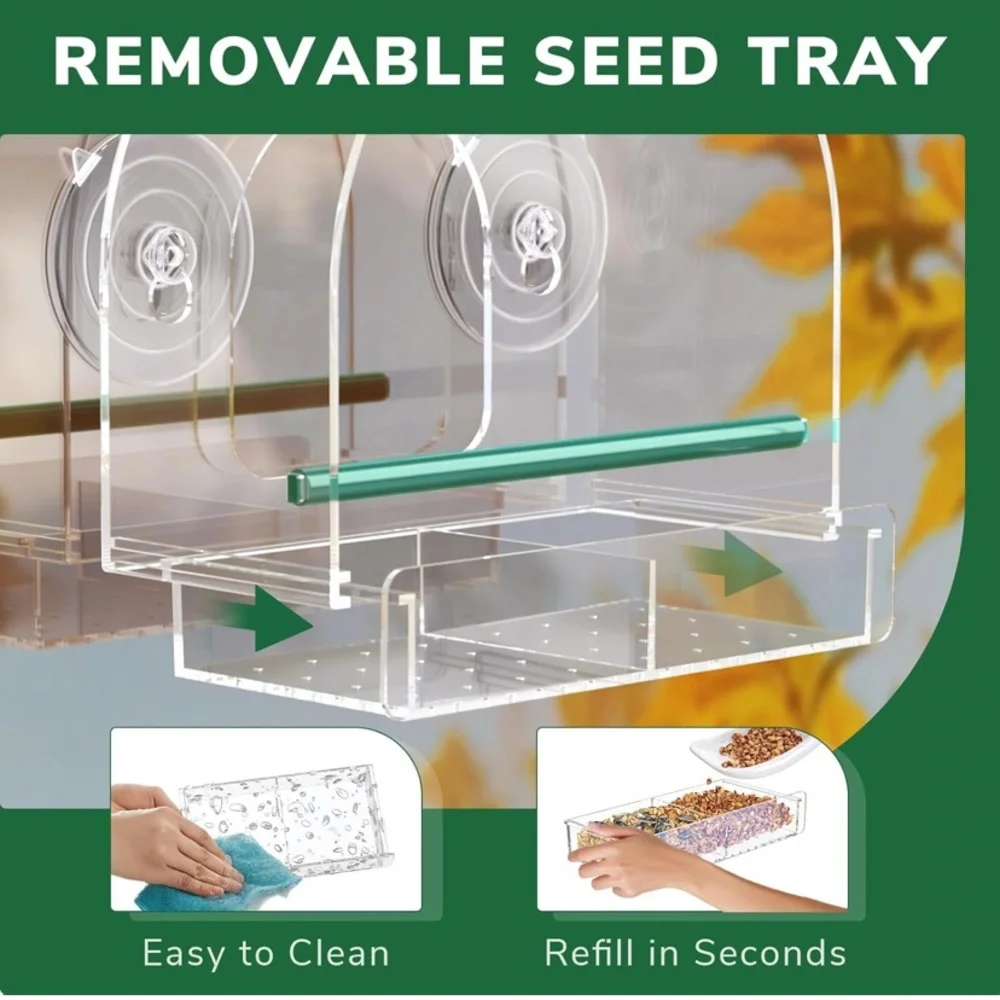 Transparent Window Wild Bird Feeder with Suction Cups
